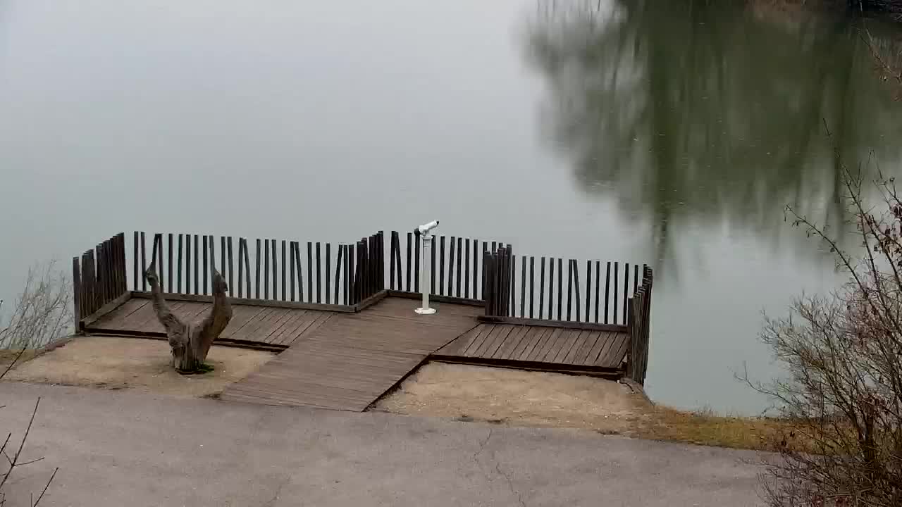 Webcam Ribnik Vrbje – Žalec