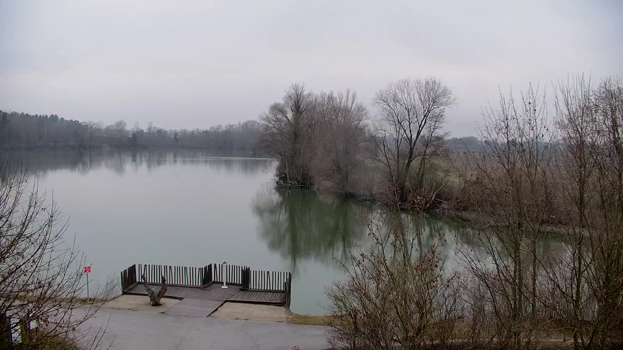 Webcam Ribnik Vrbje – Žalec