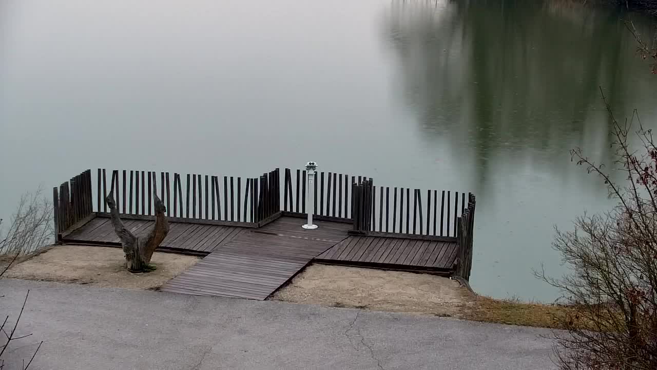 Webcam Ribnik Vrbje – Žalec