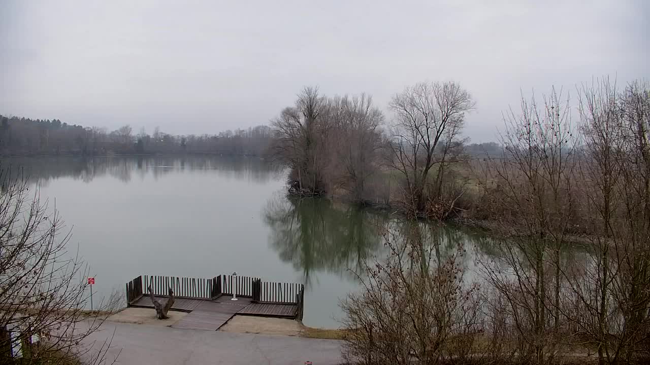 Webcam Ribnik Vrbje – Žalec