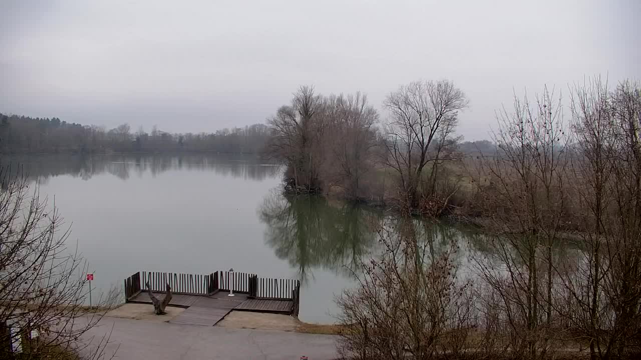 Web kamera Ribnik Vrbje – Žalec