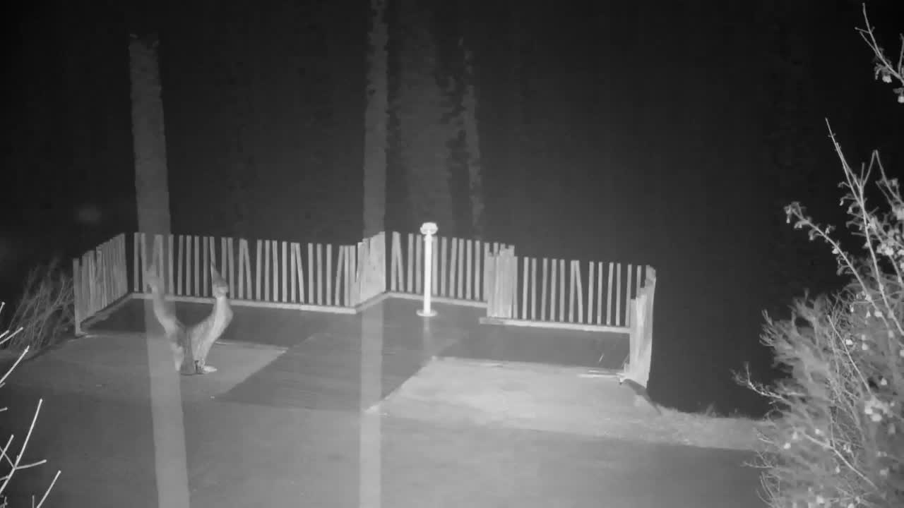 Spletna kamera Ribnik Vrbje – Žalec