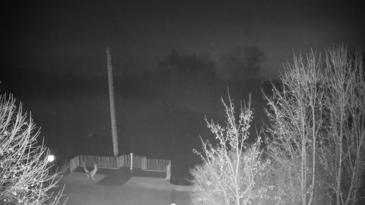 Webcam Ribnik Vrbje – Žalec