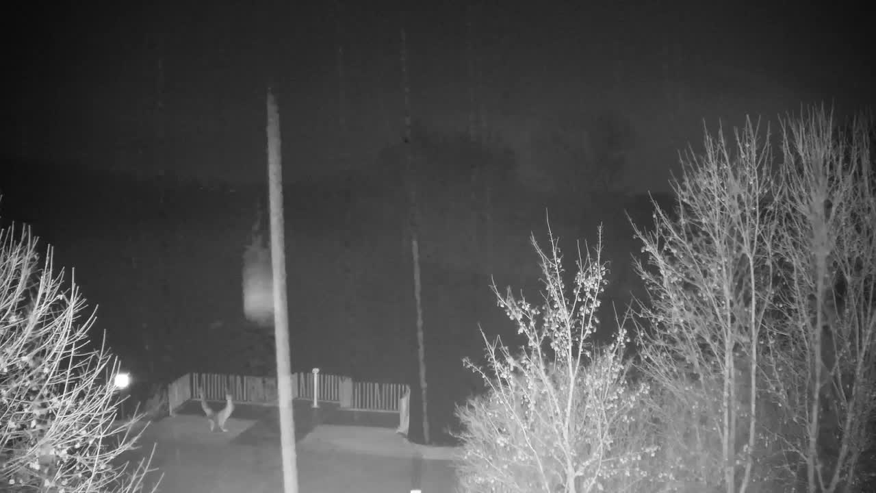 Webcam Ribnik Vrbje – Žalec