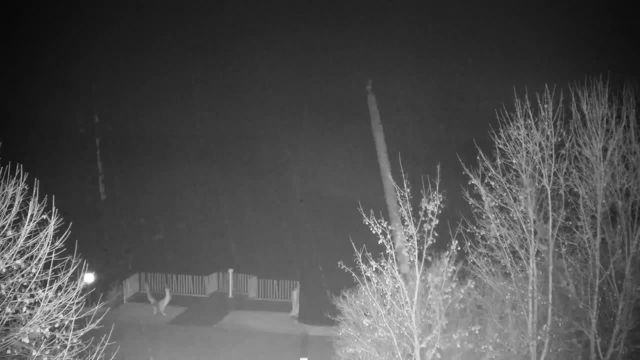 Webcam Ribnik Vrbje – Žalec