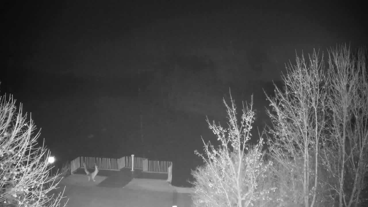 Spletna kamera Ribnik Vrbje – Žalec