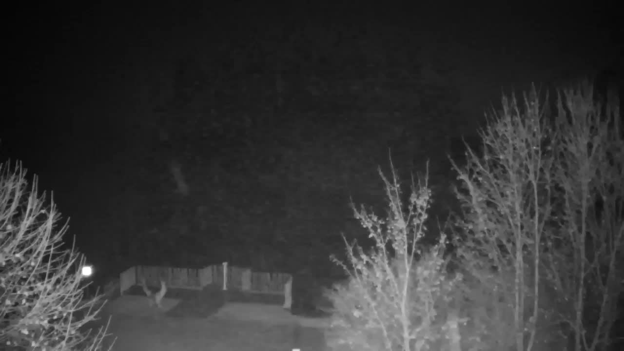 Webcam Ribnik Vrbje – Žalec