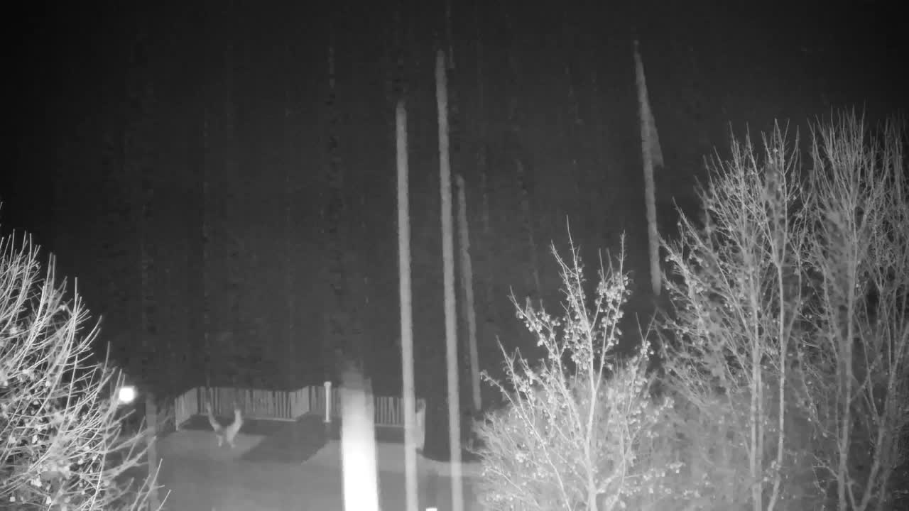 Webcam Ribnik Vrbje – Žalec