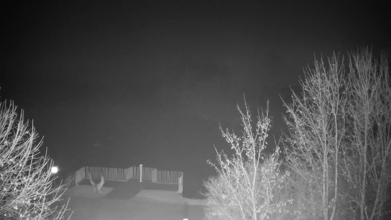 Web kamera Ribnik Vrbje – Žalec