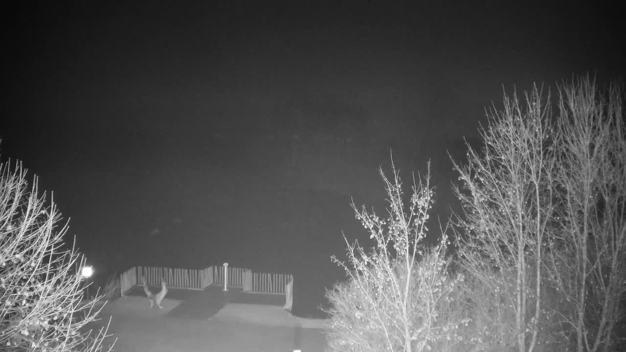 Webcam Ribnik Vrbje – Žalec