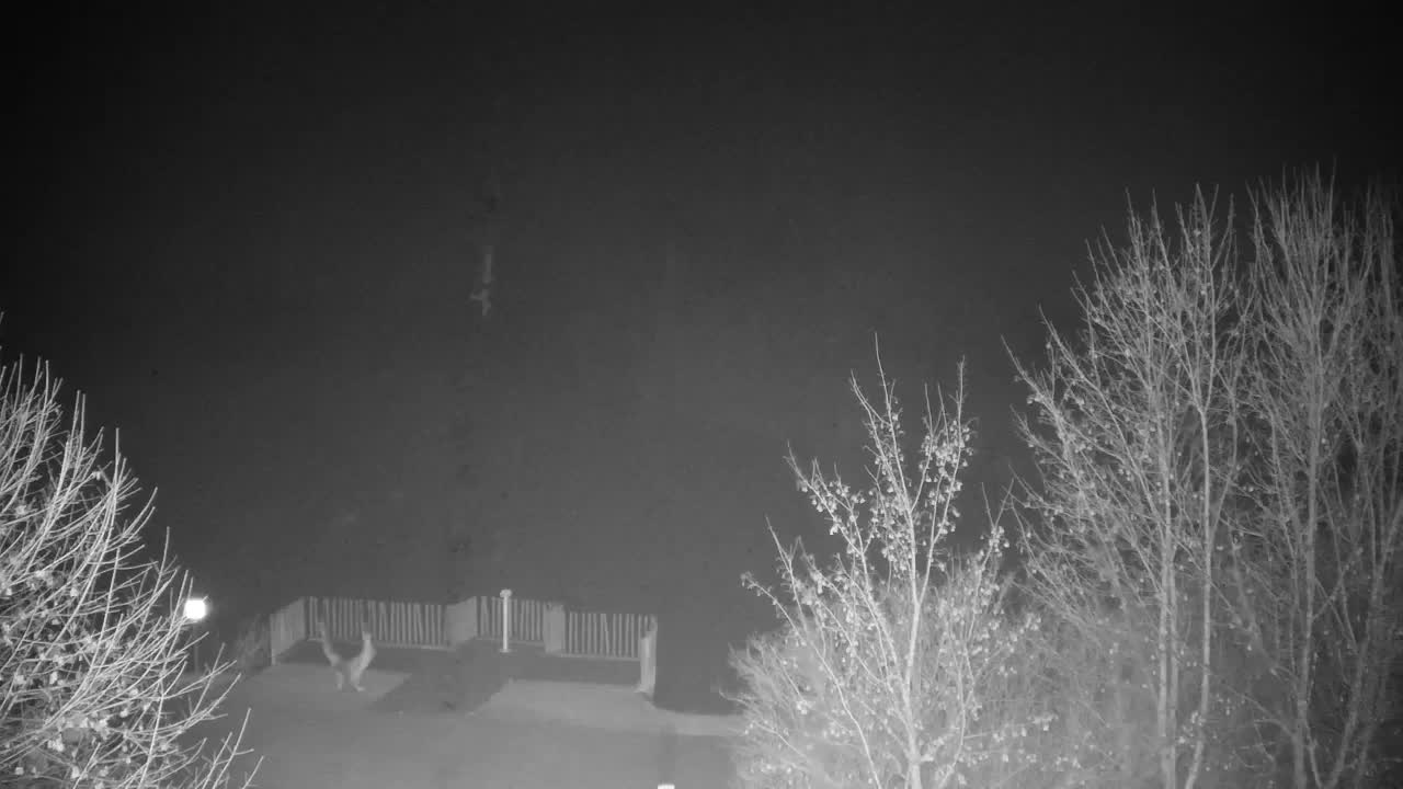 Spletna kamera Ribnik Vrbje – Žalec