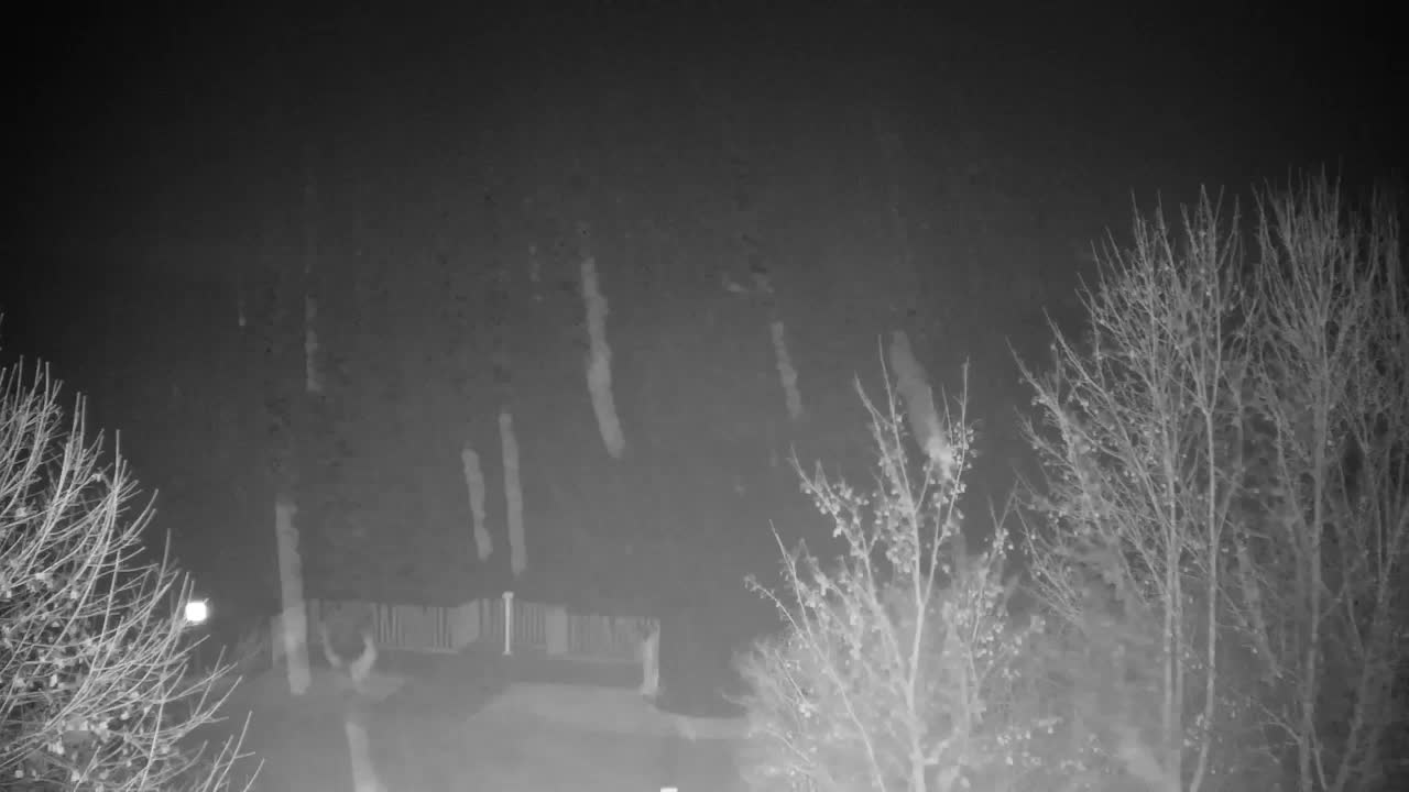 Webcam Ribnik Vrbje – Žalec