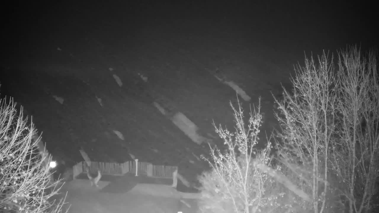 Webcam Ribnik Vrbje – Žalec