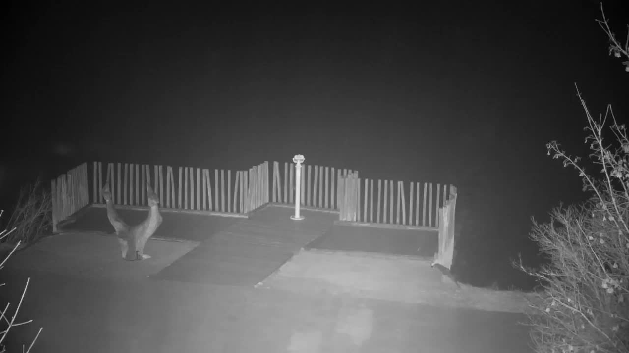 Webcam Ribnik Vrbje – Žalec