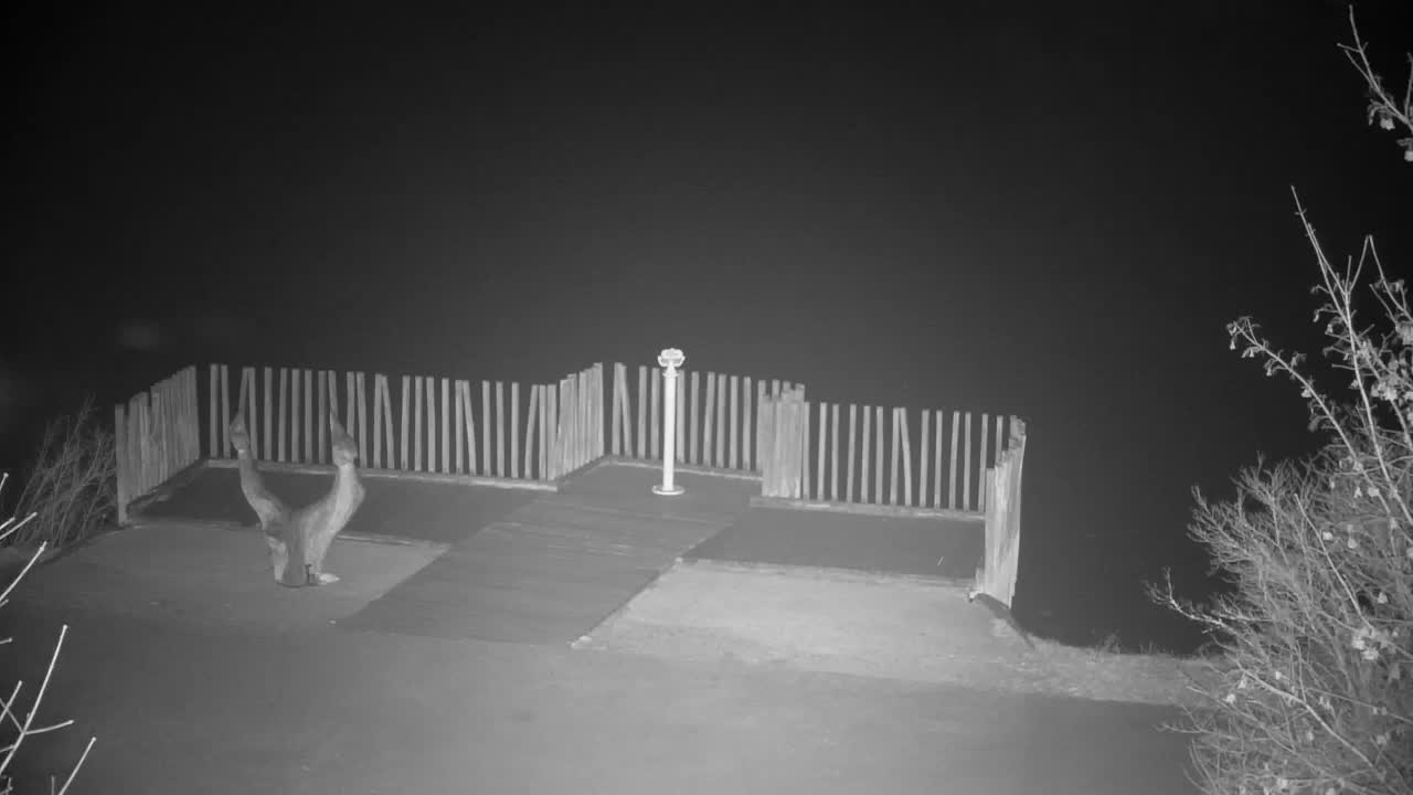 Webcam Ribnik Vrbje – Žalec