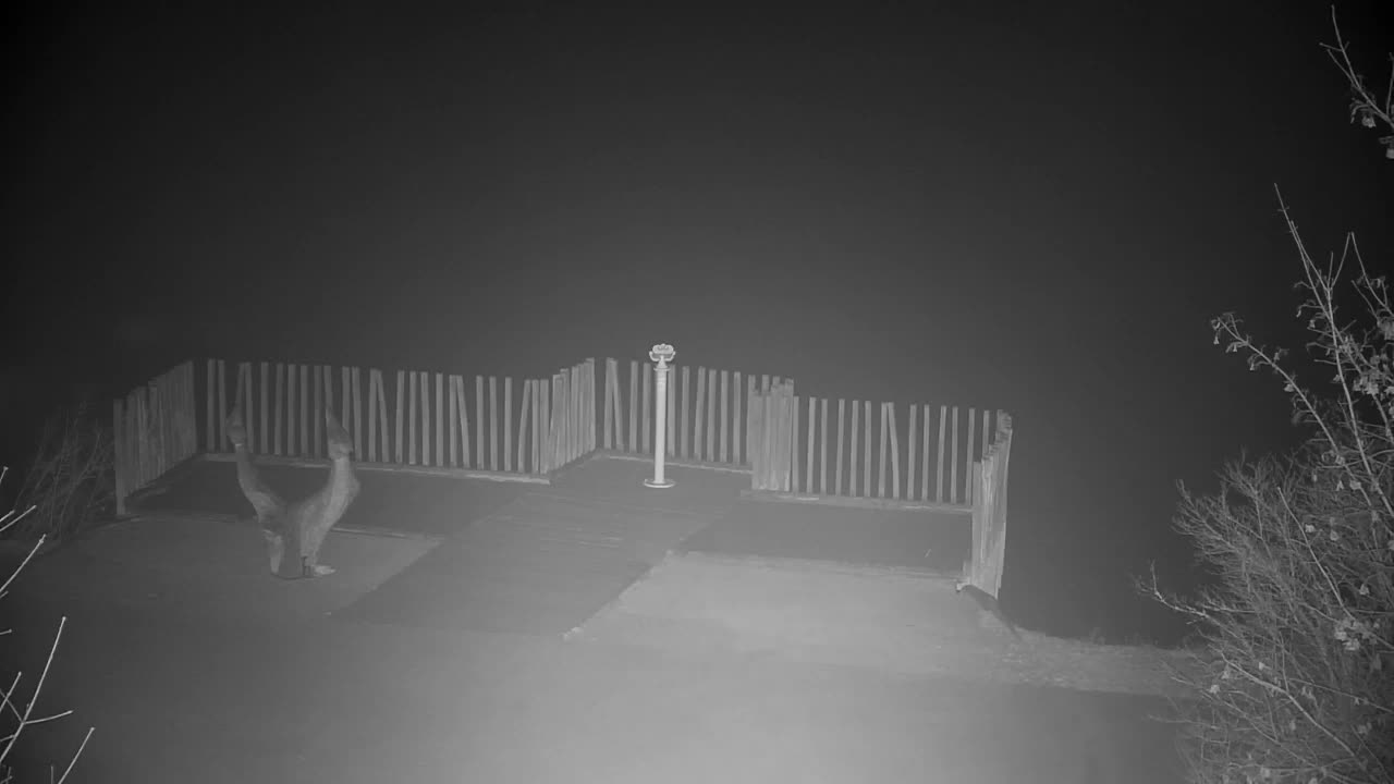 Webcam Ribnik Vrbje – Žalec