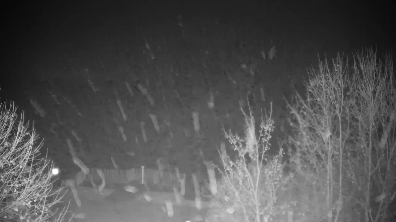 Webcam Ribnik Vrbje – Žalec