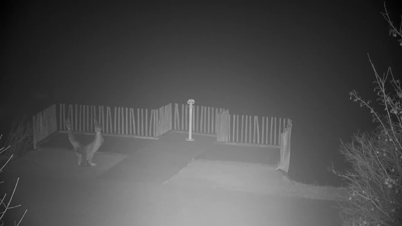 Webcam Ribnik Vrbje – Žalec