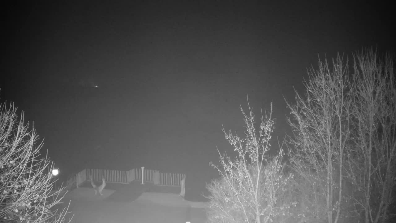 Webcam Ribnik Vrbje – Žalec