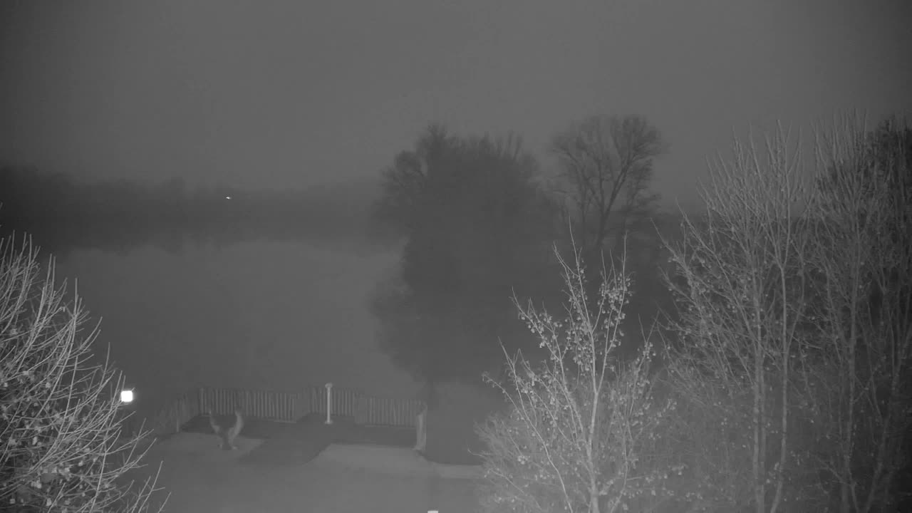 Webcam Ribnik Vrbje – Žalec