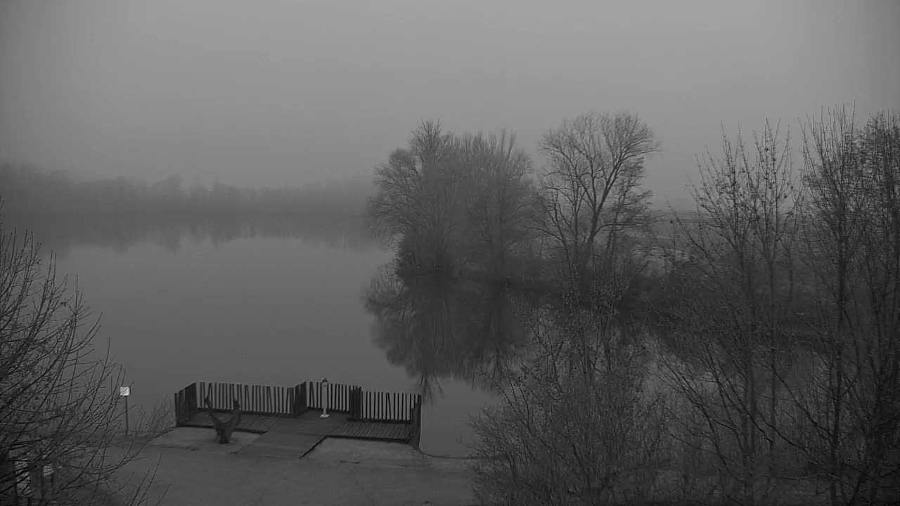 Webcam Ribnik Vrbje – Žalec