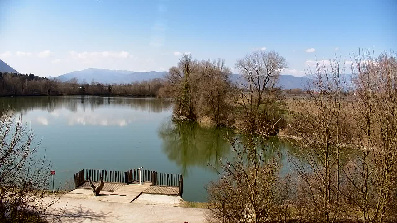 Webcam Ribnik Vrbje – Žalec