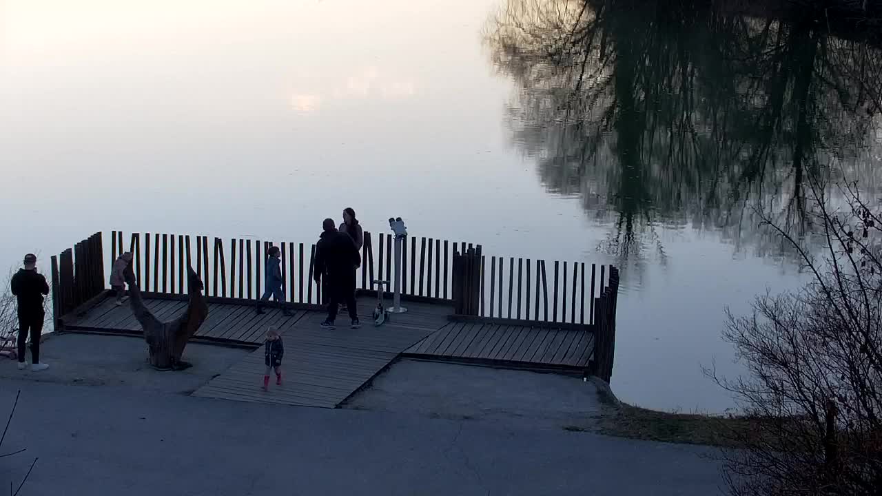 Webcam Ribnik Vrbje – Žalec