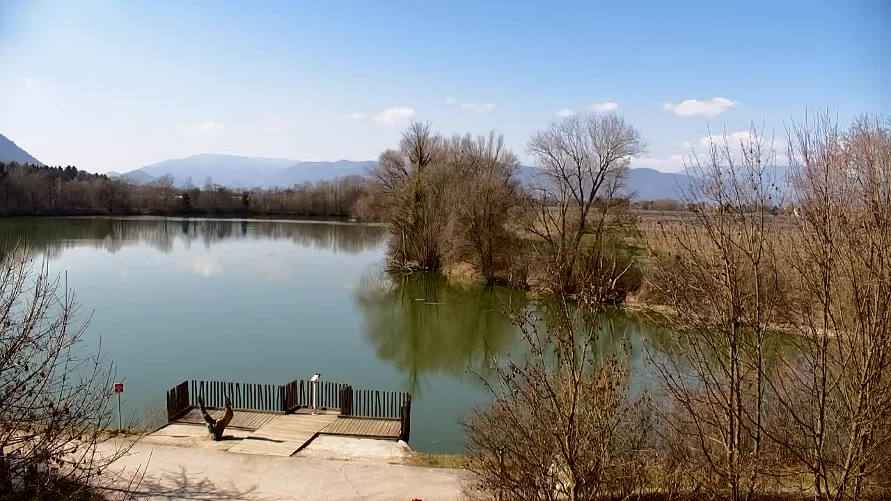 Spletna kamera Ribnik Vrbje – Žalec