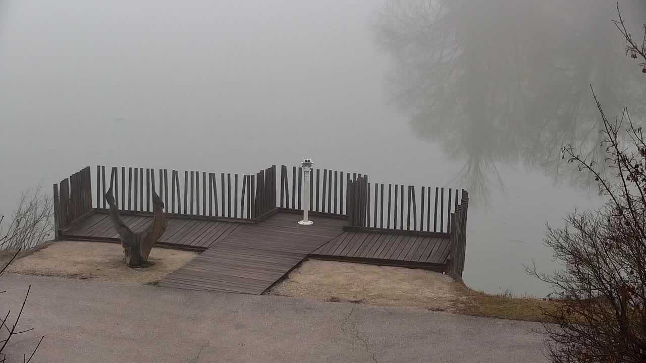 Webcam Ribnik Vrbje – Žalec