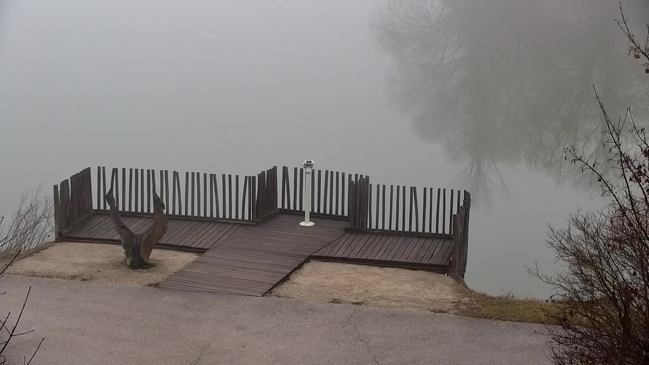 Webcam Ribnik Vrbje – Žalec