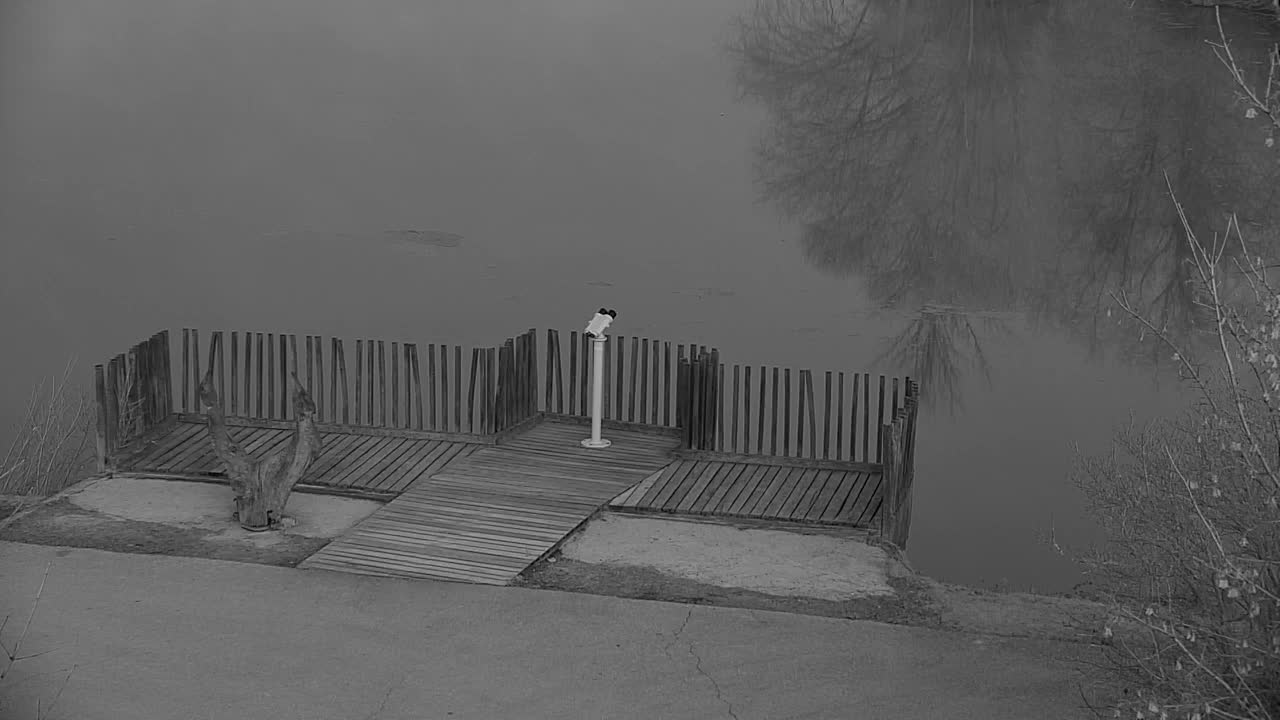 Webcam Ribnik Vrbje – Žalec