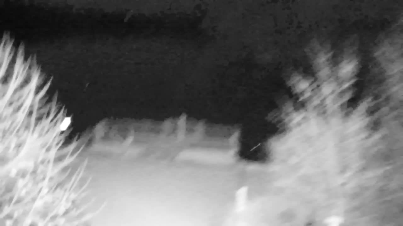 Webcam Ribnik Vrbje – Žalec