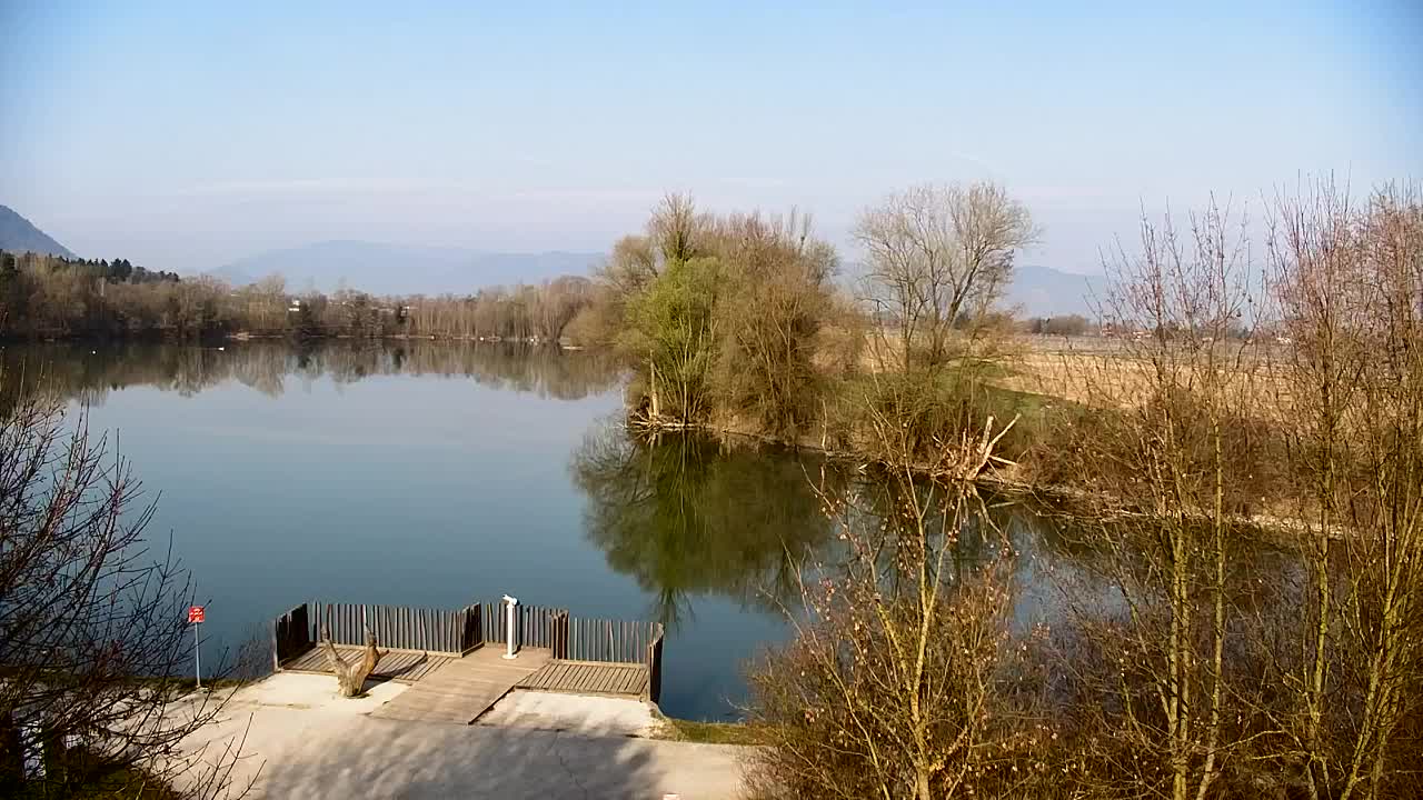 Webcam Ribnik Vrbje – Žalec