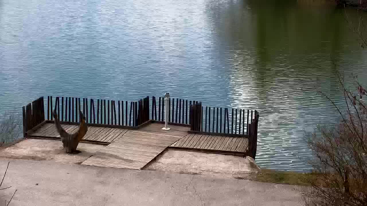 Webcam Ribnik Vrbje – Žalec