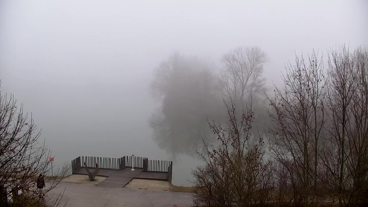 Webcam Ribnik Vrbje – Žalec