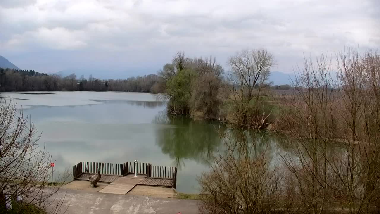 Webcam Ribnik Vrbje – Žalec