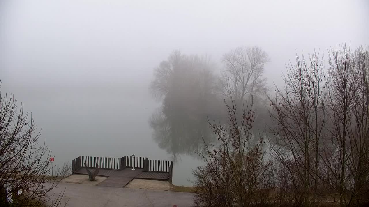 Webcam Ribnik Vrbje – Žalec