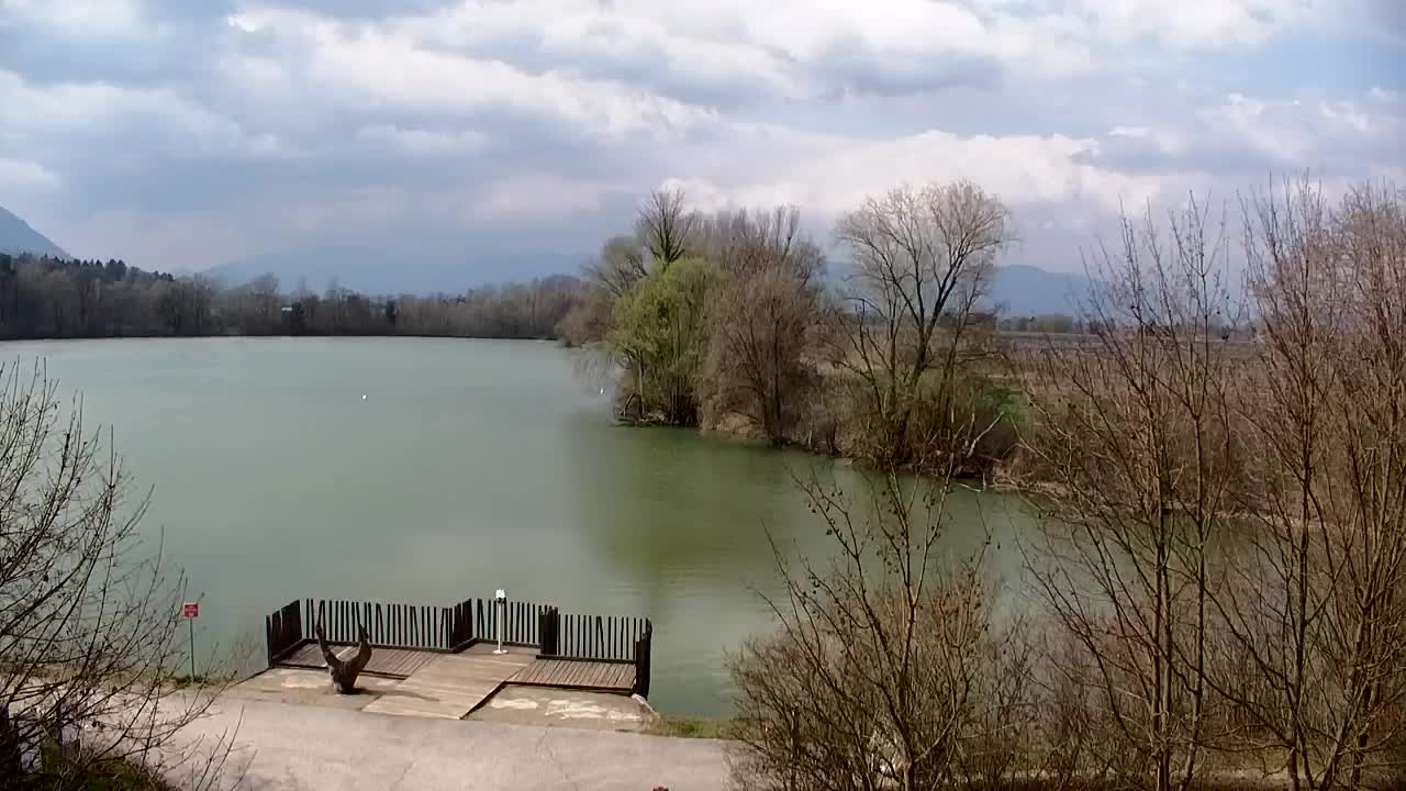 Web kamera Ribnik Vrbje – Žalec