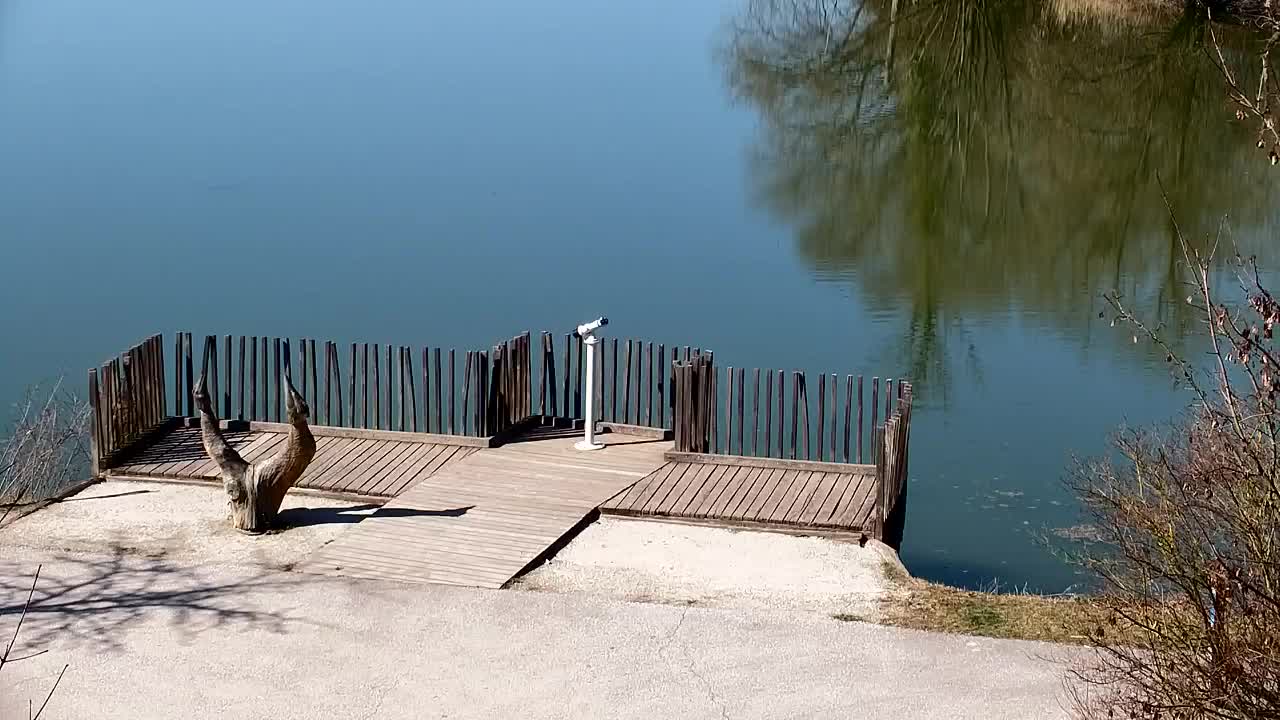 Spletna kamera Ribnik Vrbje – Žalec