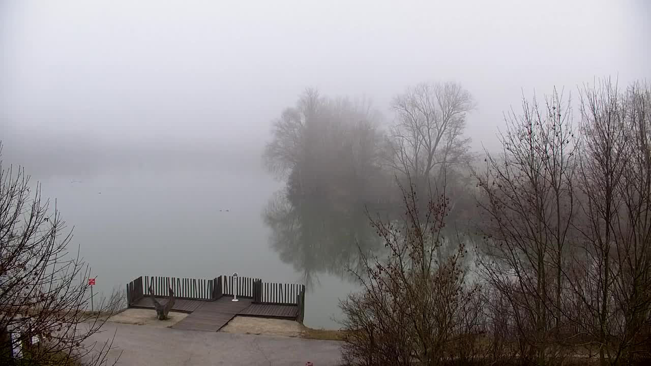 Web kamera Ribnik Vrbje – Žalec