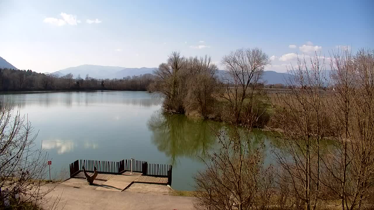 Spletna kamera Ribnik Vrbje – Žalec