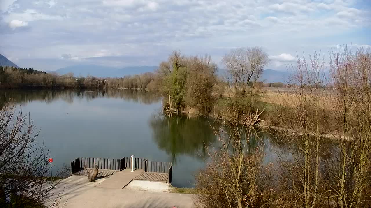 Webcam Ribnik Vrbje – Žalec