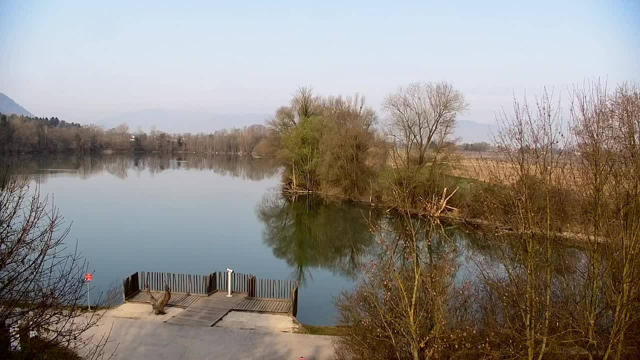 Webcam Ribnik Vrbje – Žalec