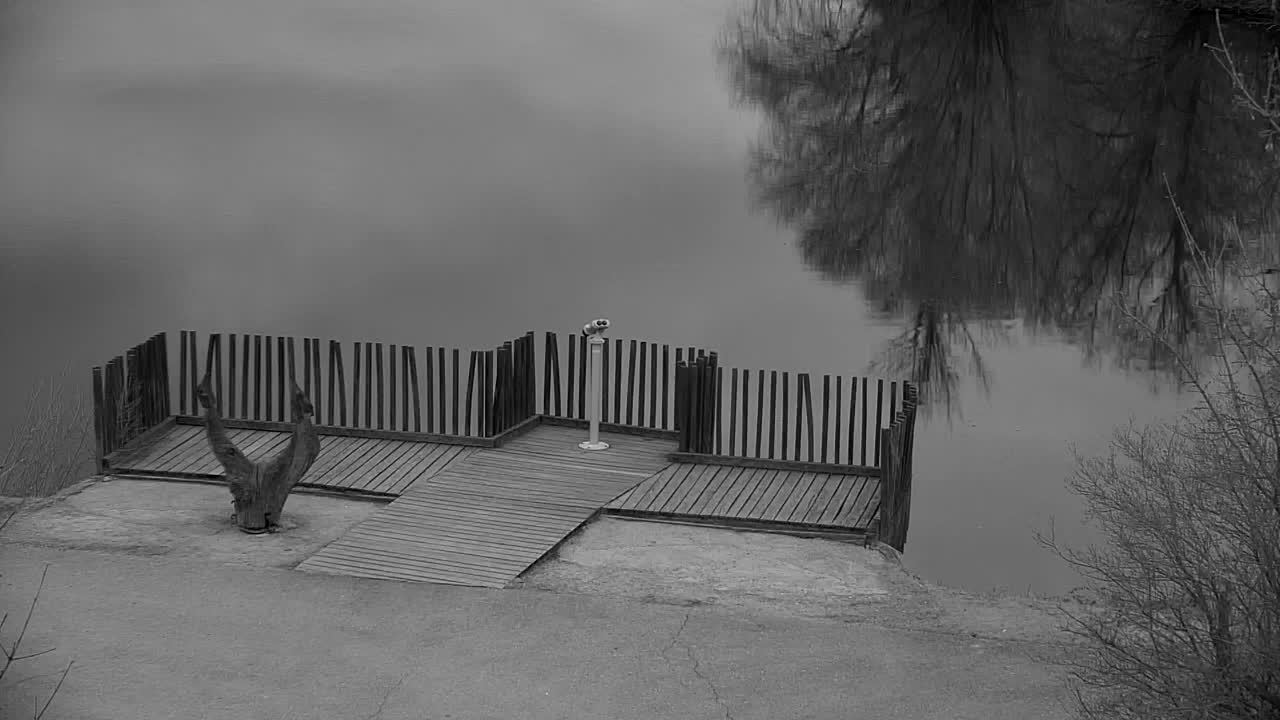 Webcam Ribnik Vrbje – Žalec