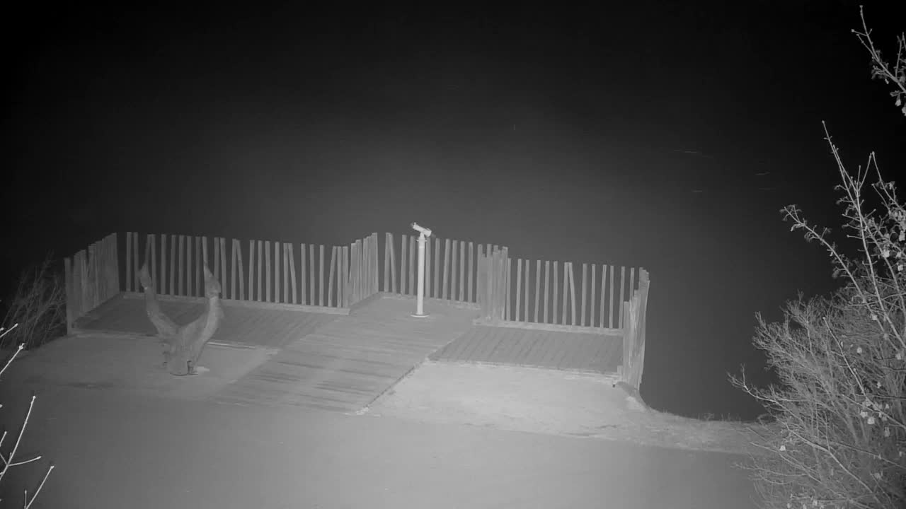 Web kamera Ribnik Vrbje – Žalec