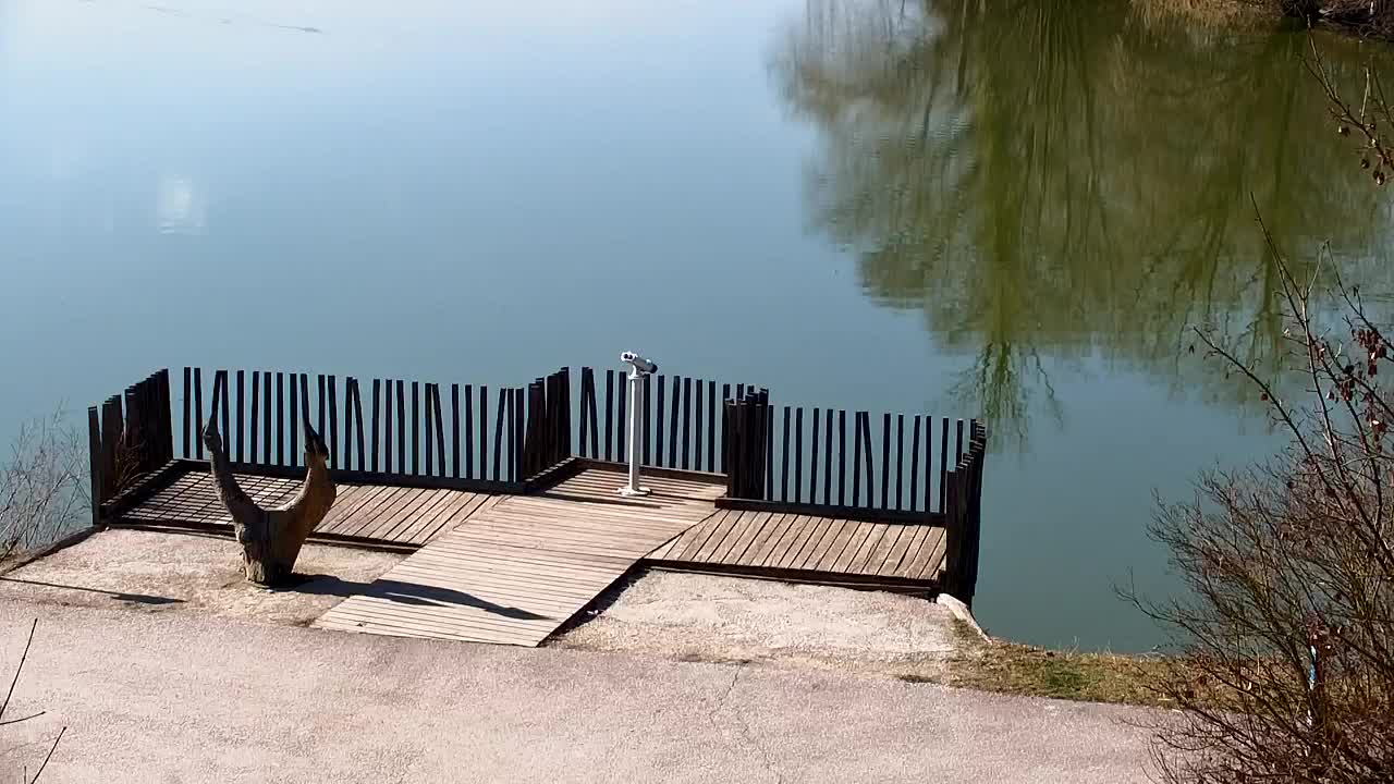 Webcam Ribnik Vrbje – Žalec