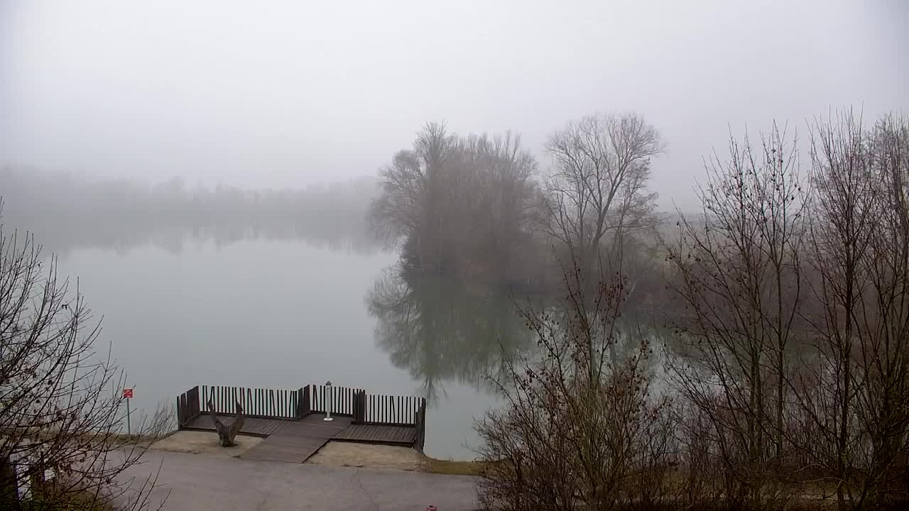 Webcam Ribnik Vrbje – Žalec