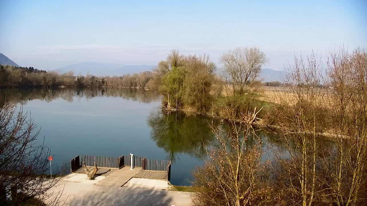 Spletna kamera Ribnik Vrbje – Žalec