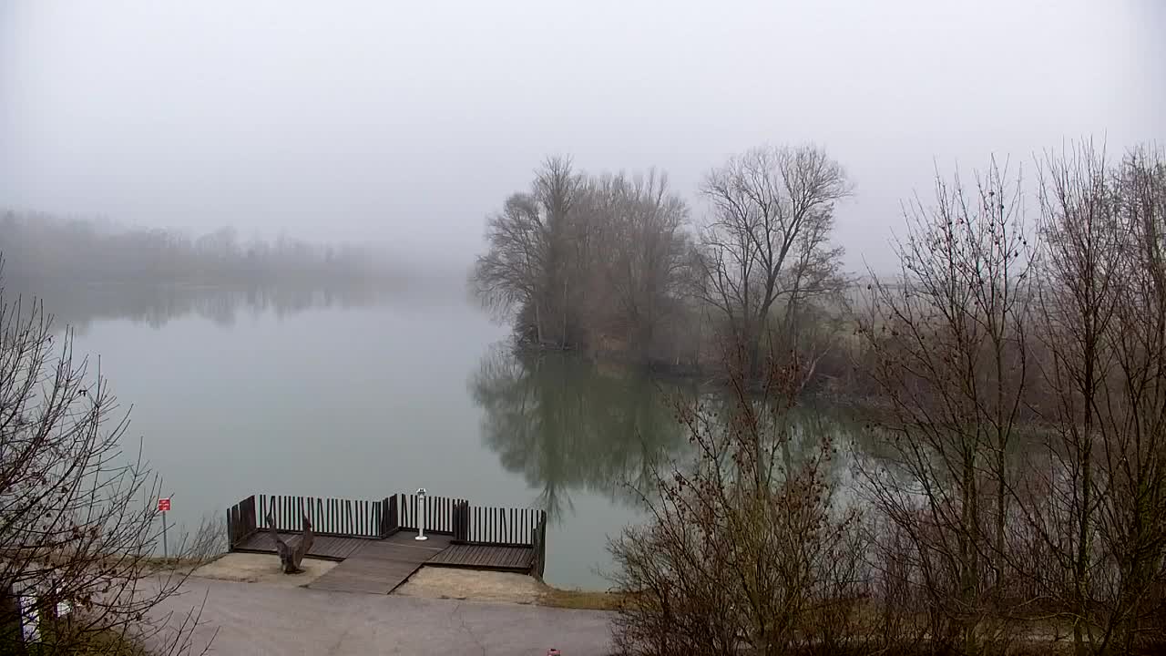 Spletna kamera Ribnik Vrbje – Žalec