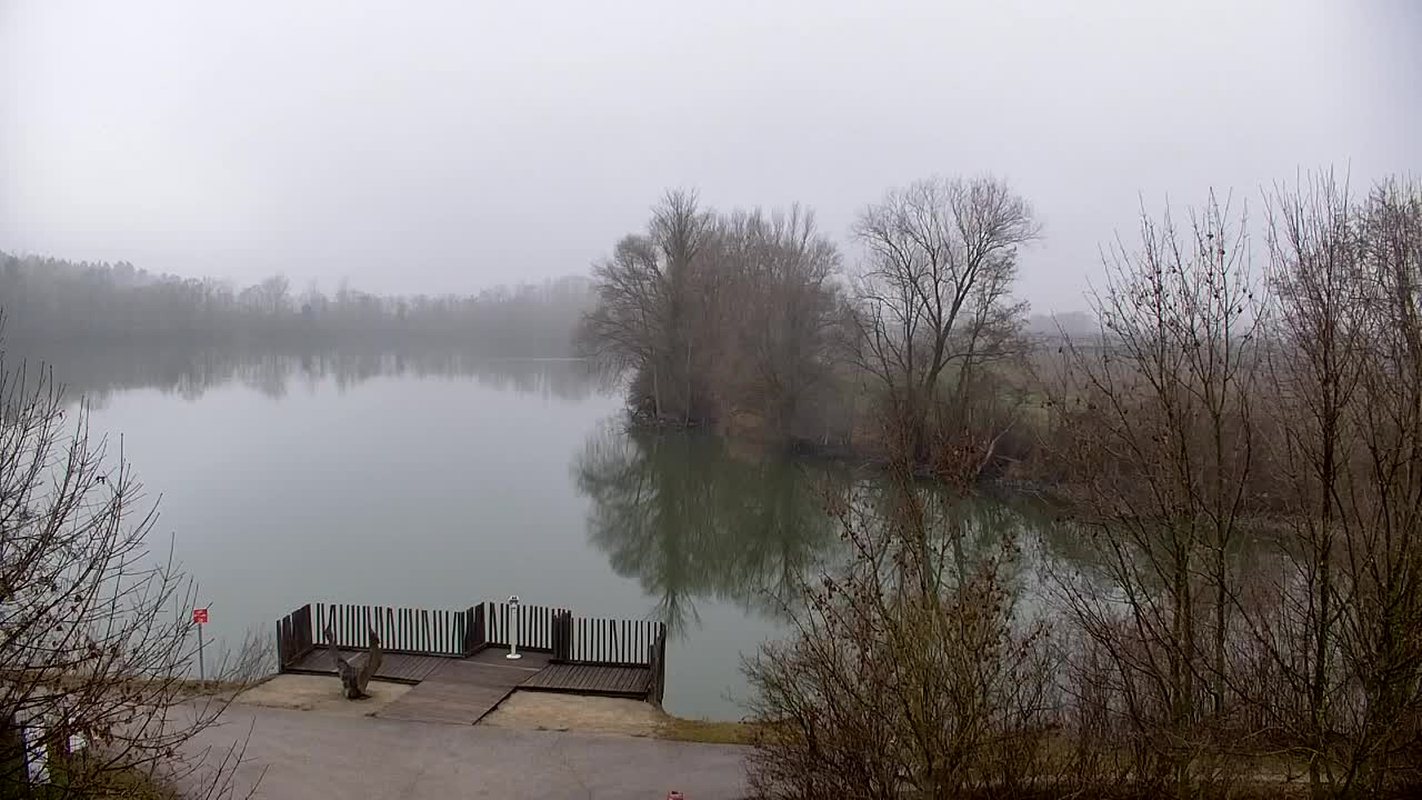 Webcam Ribnik Vrbje – Žalec